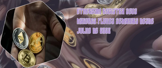 Criptomoedas julho