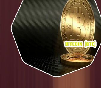 The bitcoin 1